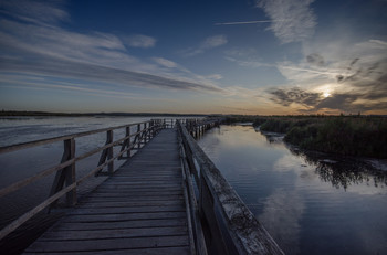 Seesteg am Moor entlang / UNESCO Welterbe Federsse in Bad Buchenau bei Oberschwaben