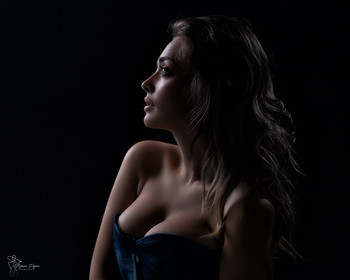 Lilie / ***