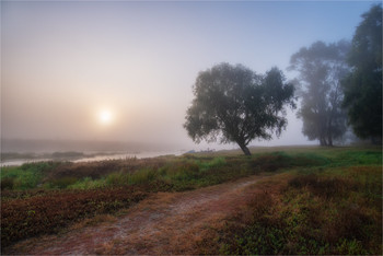 Through the mist / ***