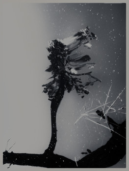 &nbsp; / [img]https://sun9-48.userapi.com/c853620/v853620538/10657f/hnhqh2SS_b0.jpg[/img]