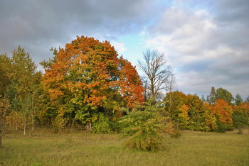 Signs of autumn / ***