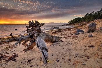 &nbsp; / Baltic Sea Coast. Autumn evening on the beach