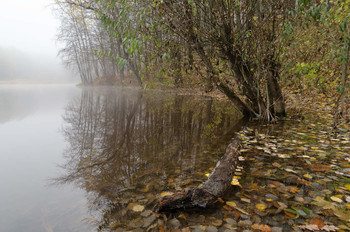 Signs of Herbst / ---