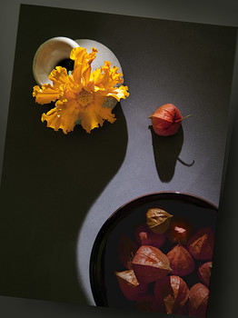 Autumn schedule / ***