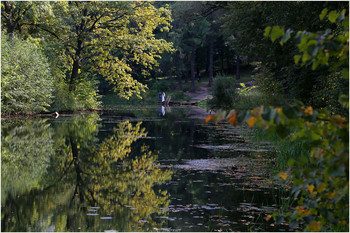 Autumn / ***