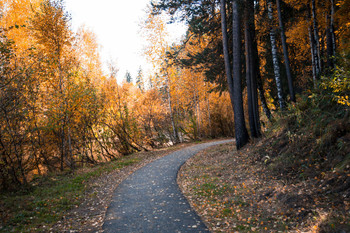 Roads of the Fall / ***