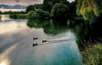 Am Teich. / ***