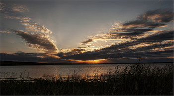 Awakening / ***