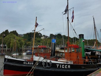 CLAUS &amp; TIGER / ***
