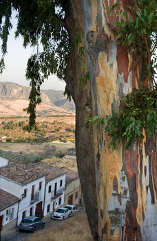 &nbsp; / https://photocentra.ru/blog/4476