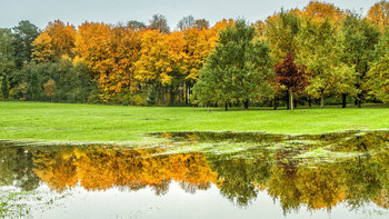 Herbst / ***
