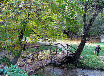 Brücke / ***