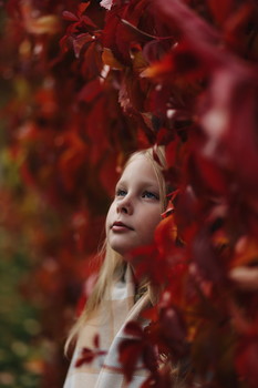 colors of autumn / ***