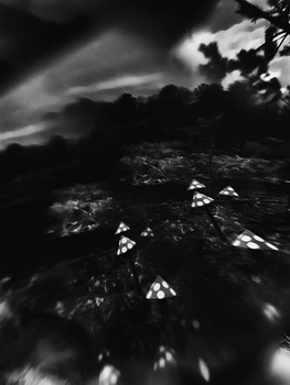 &nbsp; / [img]https://sun9-57.userapi.com/c855436/v855436312/11bb70/o6d2F98hSG0.jpg[/img]