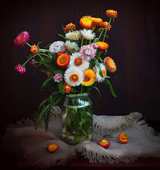 bouquet / ***