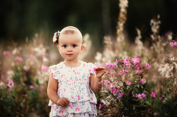 Floret / ...