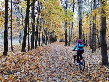 In autumn park / ***
