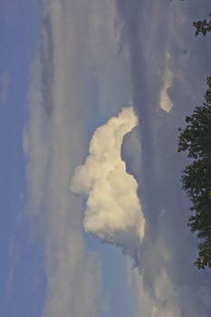 &nbsp; / ***