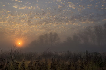 Sonnenstrahlen / ***