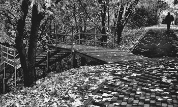Autumn has come here and ... / ***