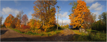 Fall outside / ***