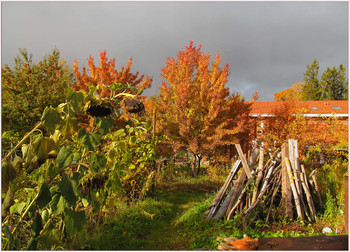 Rural Herbst / ***