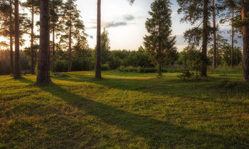 At sunset / ***