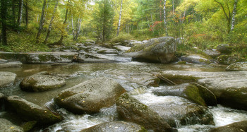 Among the stones ... / ***