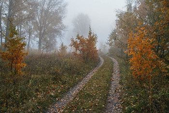 autumn mist / ***