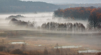 Through the mist / ***