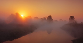 Sunny morning / ***