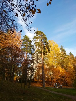 Autumn landscape / ***