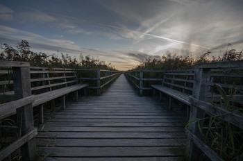 Der Steg durchs Moor / ***