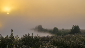 Autumn / ***