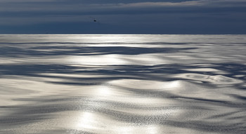 liquid / ***