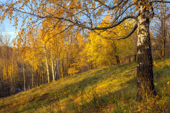 Herbst Morgendämmerung / ***
