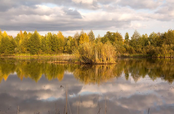 Autumn colors of nature. / ***