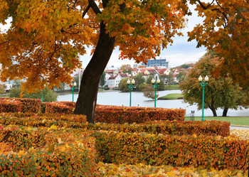 Herbst in der Stadt / ***
