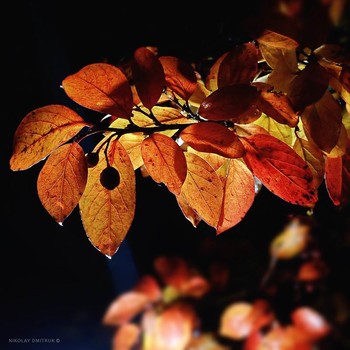 &nbsp; / music: Shook - Always
https://www.youtube.com/watch?v=K5ARO37vOmA