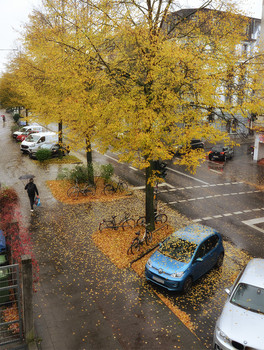 Traurig ist es Zeit, / ***