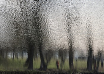in water / ***