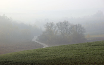 Volyn Upland / ***