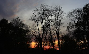 Sunset sketch / ***
