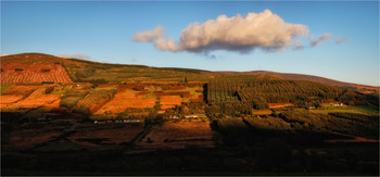 ... on the slopes of the evening ... / ***