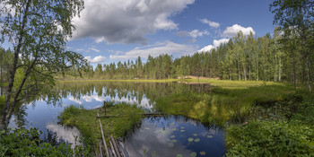 Taiga lake / ***