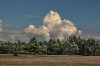 ***The clouds / ***