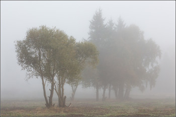 The smell of autumn / ***