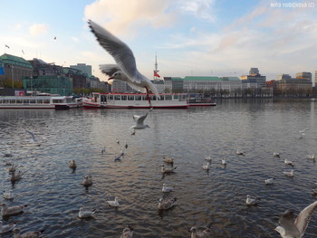 Alster Hamburg / ***