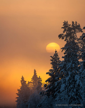 Winter fog / ***