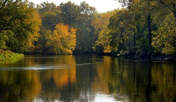 Autumn / ***